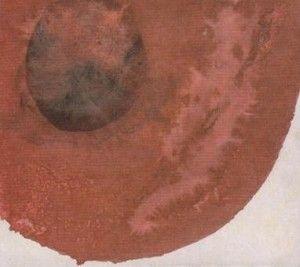 Portada de Álbum "Sogyumo Acacia Band", de Sogyumo Acacia Band