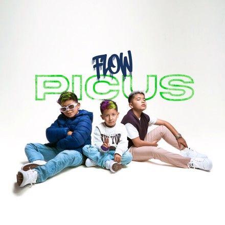 Portada de Álbum "Flow Picus", de Picus