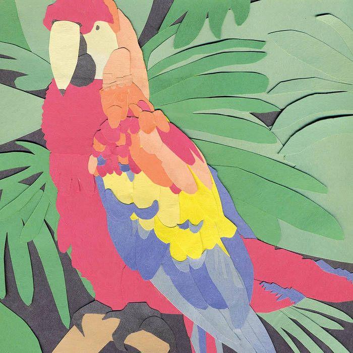 Portada de Álbum "Parrot Flies", de Algernon Cadwallader