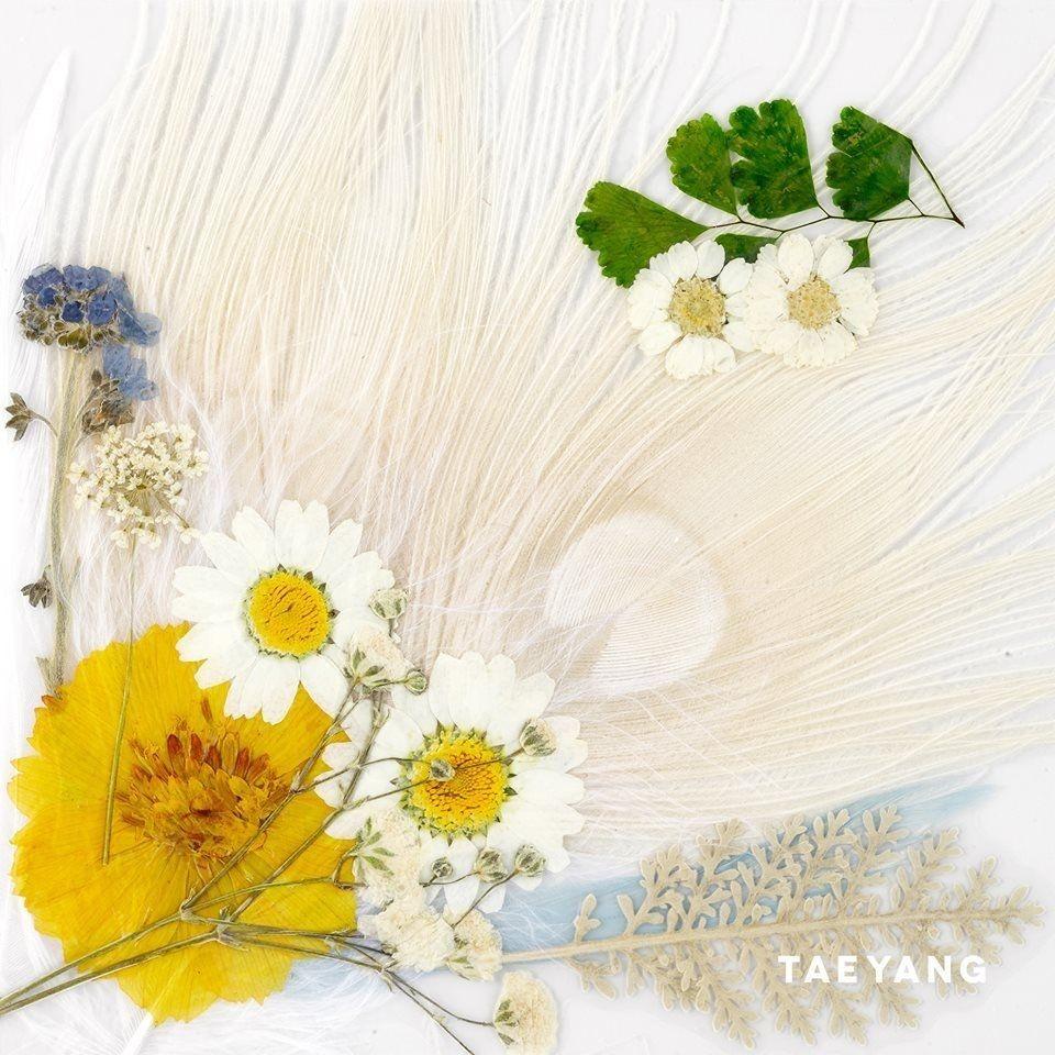 Capa do Álbum "White Night", de TAEYANG