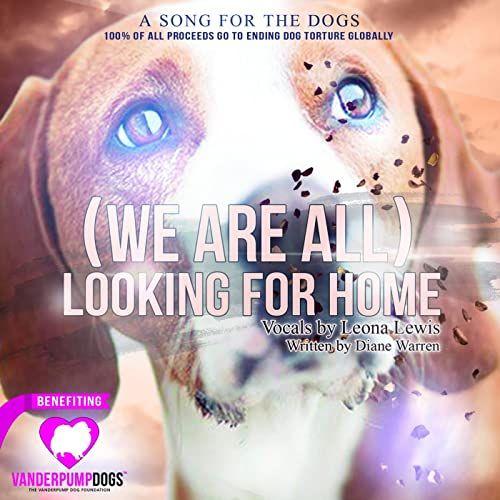Portada de Sencillo/EP "(We Are All) Looking For Home", de Leona Lewis