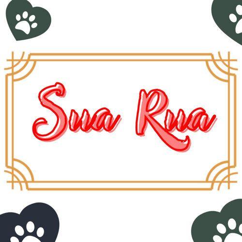 Capa do Álbum "Sua Rua", de thauã th