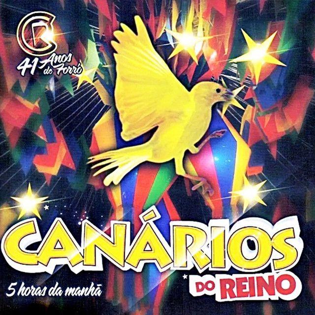 Portada de Álbum "41 Anos de Forró", de Canários do Reino