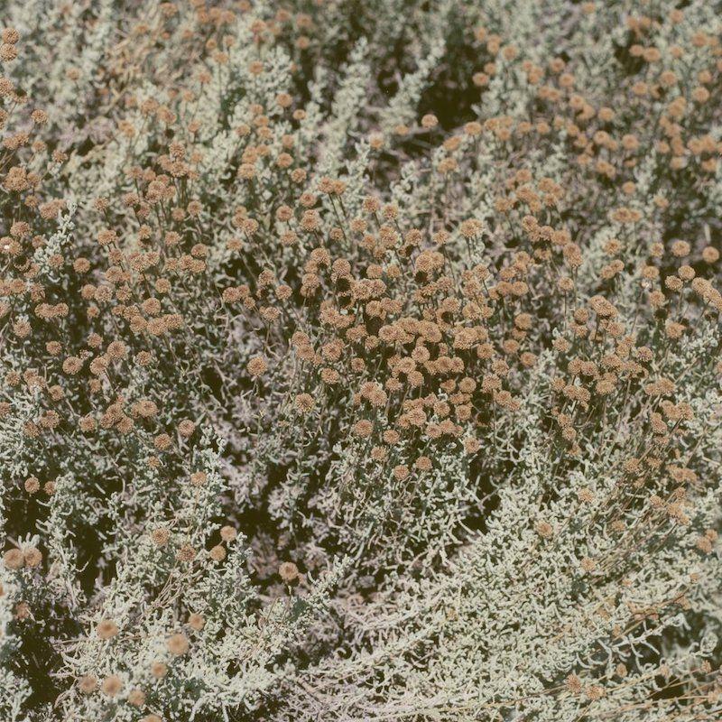 Capa do Álbum "If I Am Only My Thoughts", de Loving