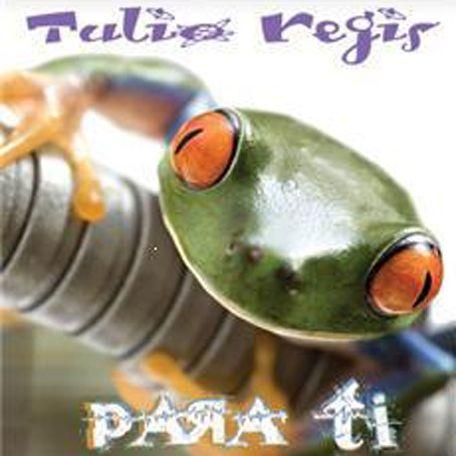 Capa do Álbum "Para Ti", de Túlio Régis