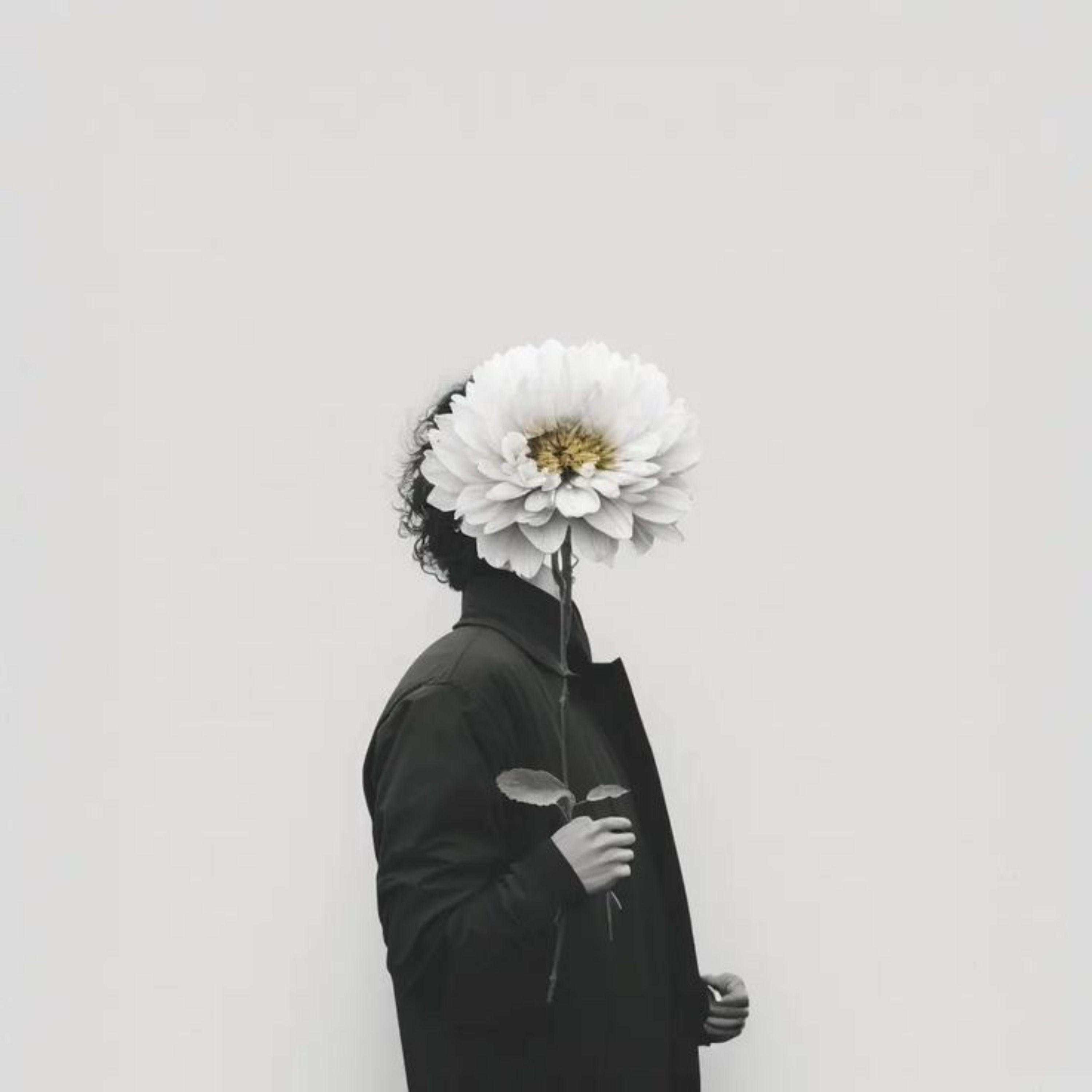 Portada del álbum "Sunflower", de Brunnox