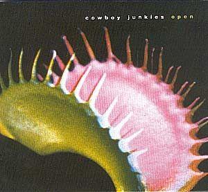 Capa do Álbum "Rarities, B Sides and Slow, Sad Waltzes", de Cowboy Junkies