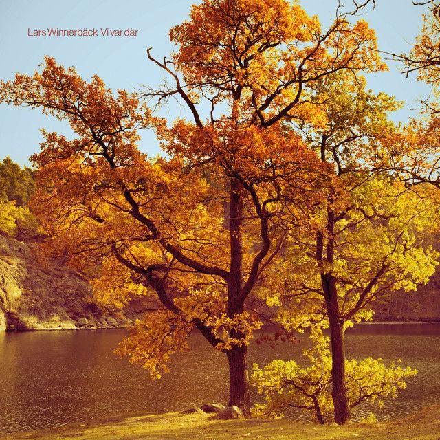 Album cover of "Vi Var Där" by Lars Winnerbäck