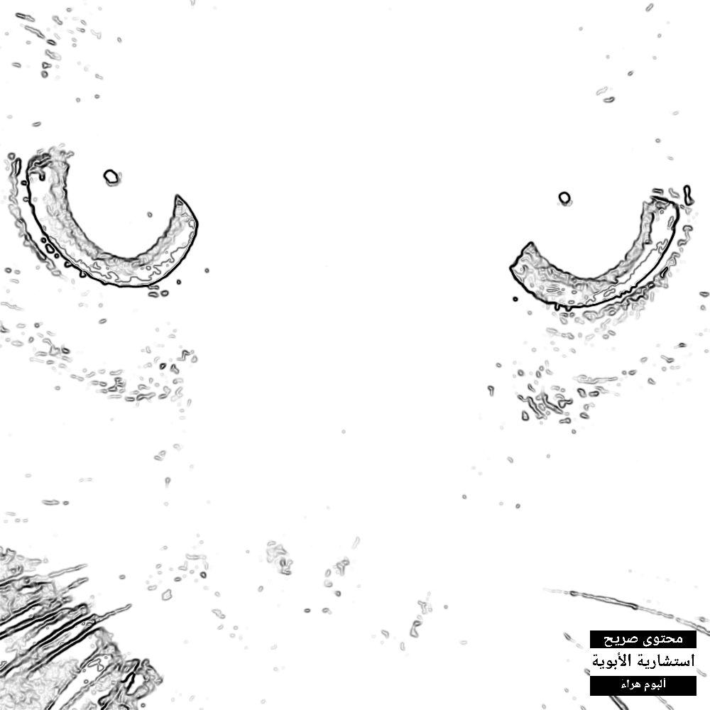 Capa do Álbum "FELINA", de naoeofer