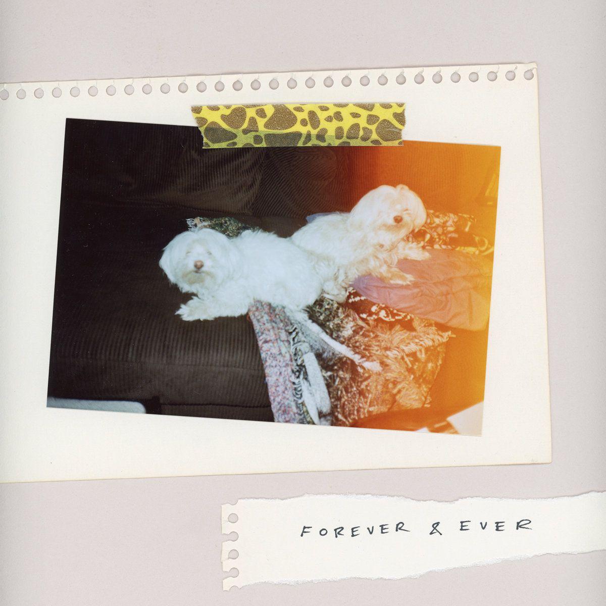 Capa do Álbum "Forever & Ever", de SALES