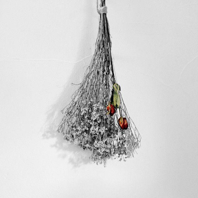 Capa do Single/EP "It's Still Beautiful", de HIGHLIGHT