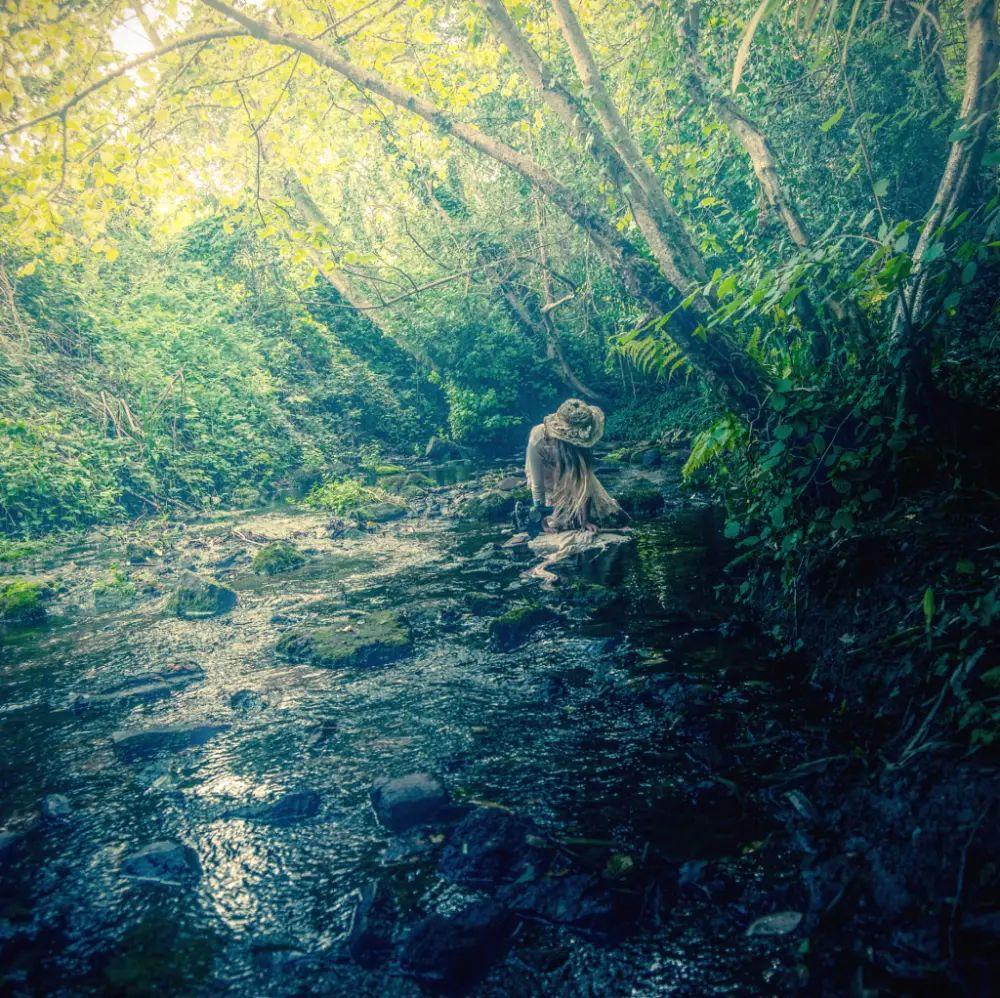 Portada de Álbum "ornamental gardens", de liar, flower
