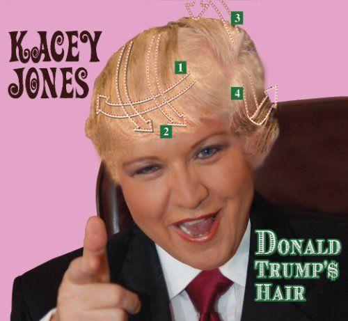 Portada de Álbum "Donald Trump'$ Hair", de Kacey Jones