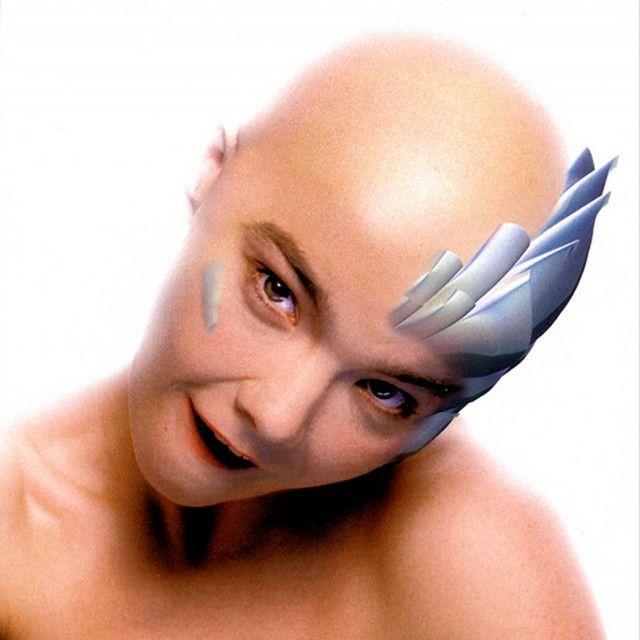 Portada del álbum "Hunter (Vol. 1)", de Björk