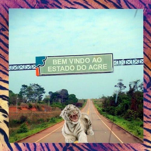 Portada de Sencillo/EP "Acre", de Adreles