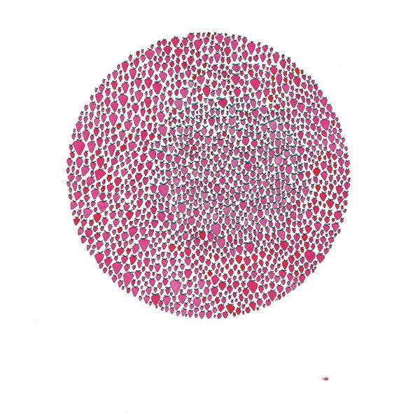 Portada de Álbum "An Abundance of Strawberries", de Julia Brown