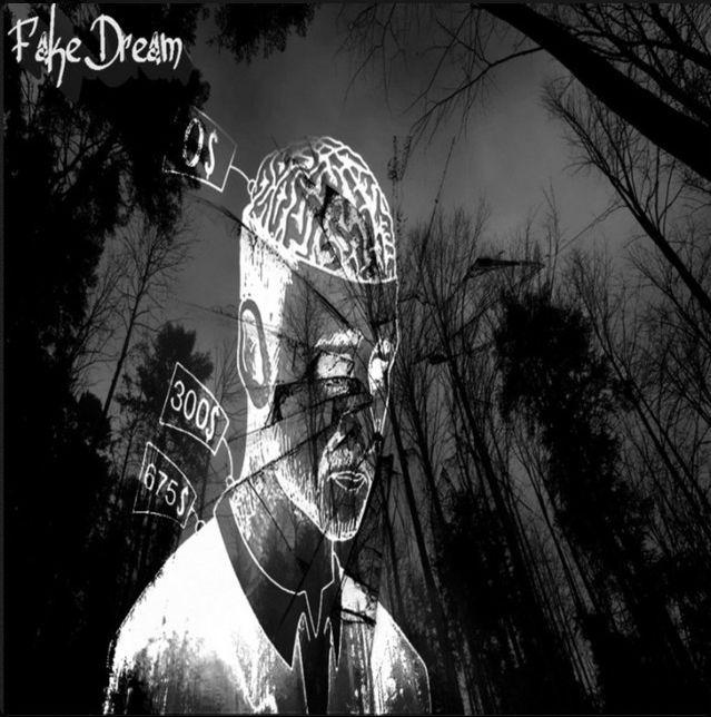 Portada de Álbum "Fake Dream", de Seiya - Void