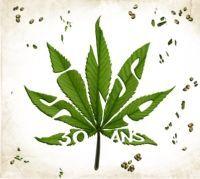 Capa do Álbum "30 Ans", de Sinsémilia