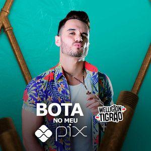 Portada de Sencillo/EP "Bota No Meu Pix", de Welligton Tigrão