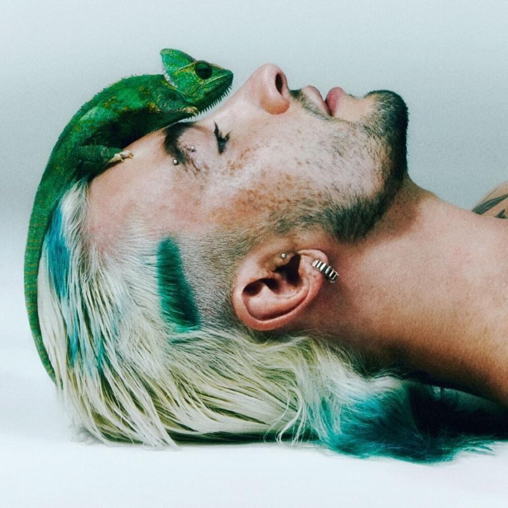 Portada de Álbum "ECDISE", de CHAMELEO