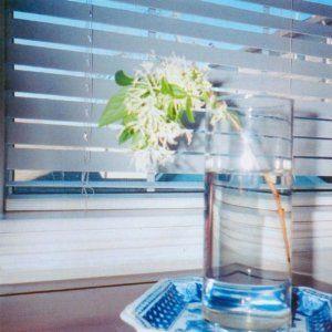 Capa do álbum "Portland Thursday", de Jandek