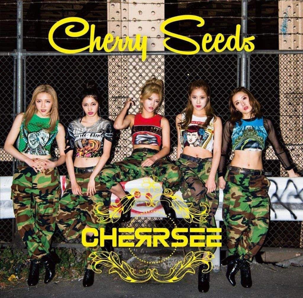 Portada de Álbum "Cherry Seeds", de CHERRSEE