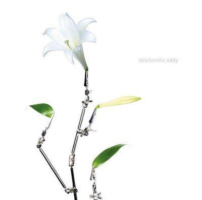 Portada de Álbum "Eddy", de Delofamilia