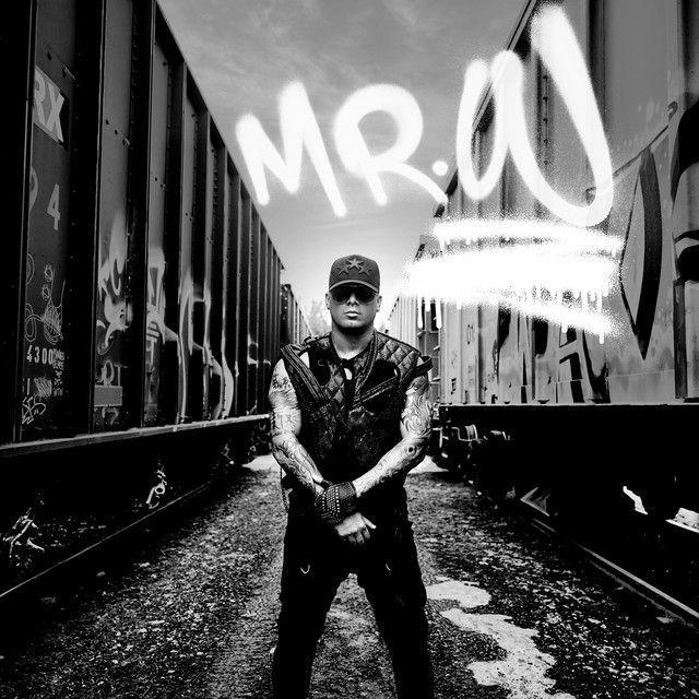 Capa do Álbum "Mr. W", de Wisin