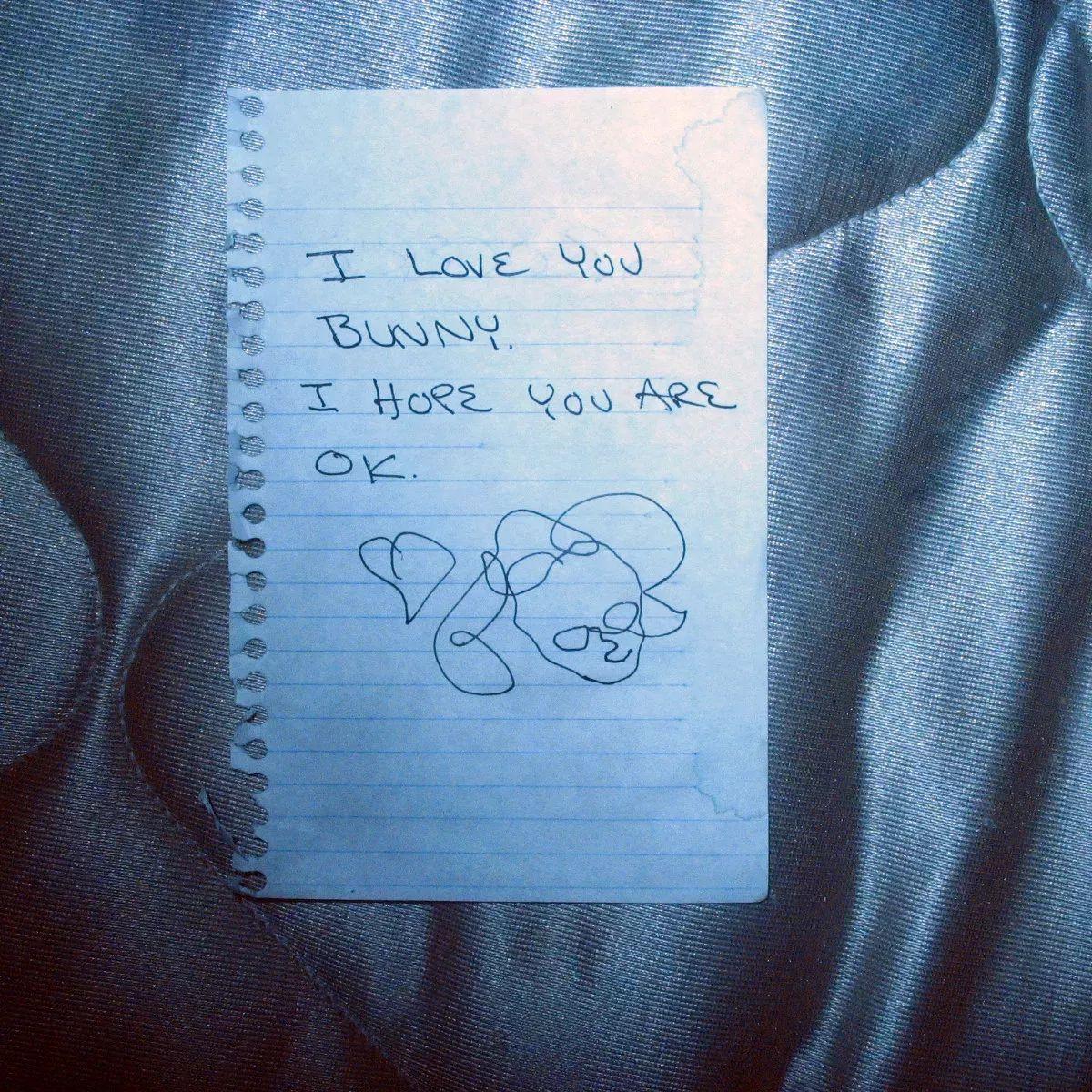 Portada de Sencillo/EP "Hymns", de Teen Suicide