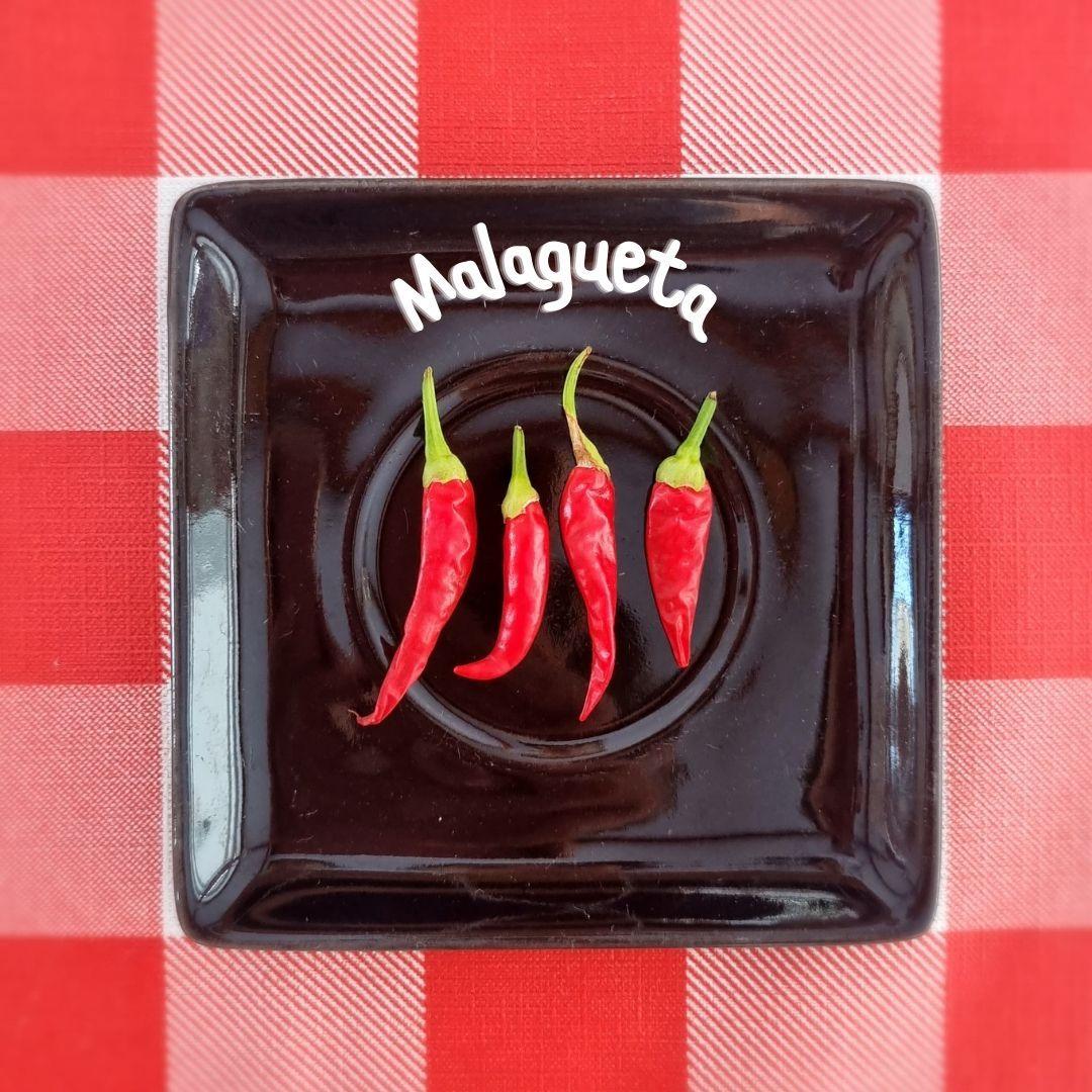 Capa do Single/EP "Malagueta", de Malagueta