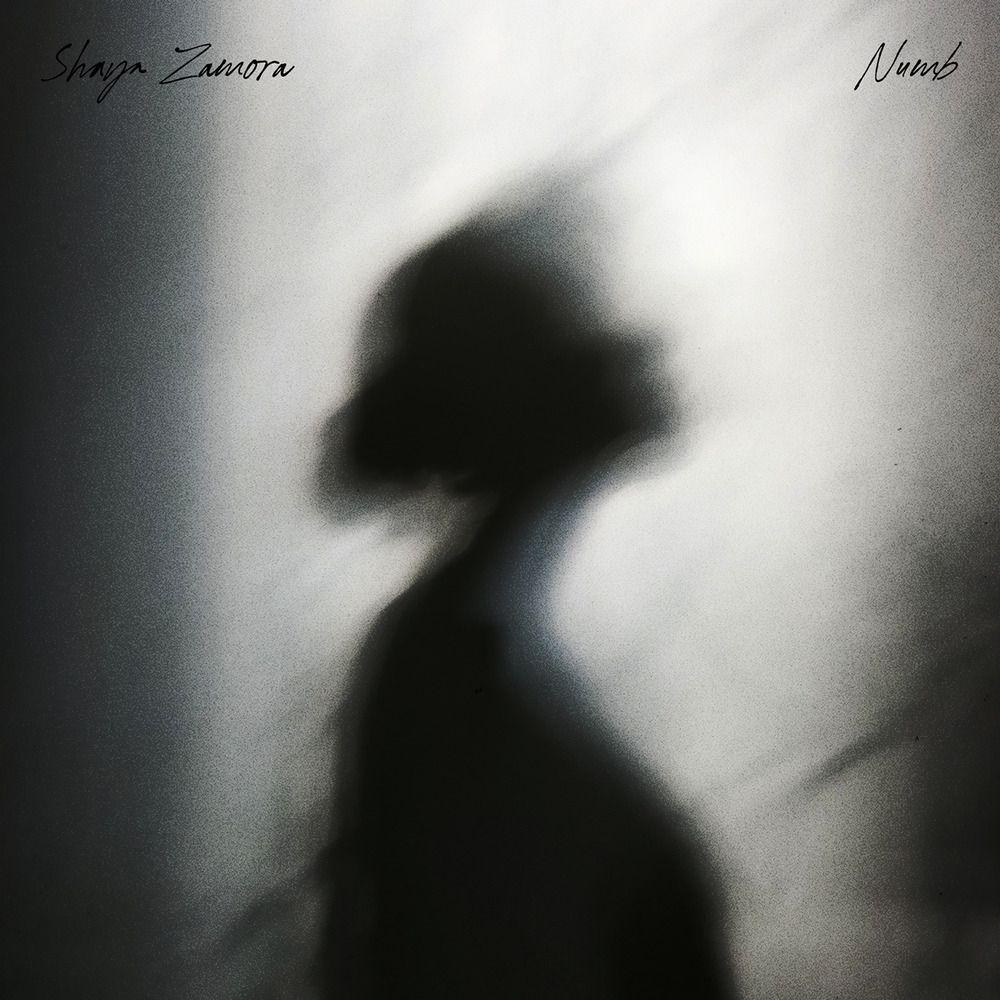 Portada de Sencillo/EP "Numb", de Shaya Zamora