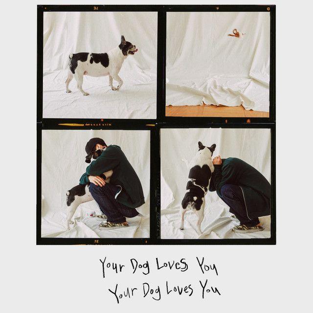 Capa do álbum "Your Dog Loves You", de Colde