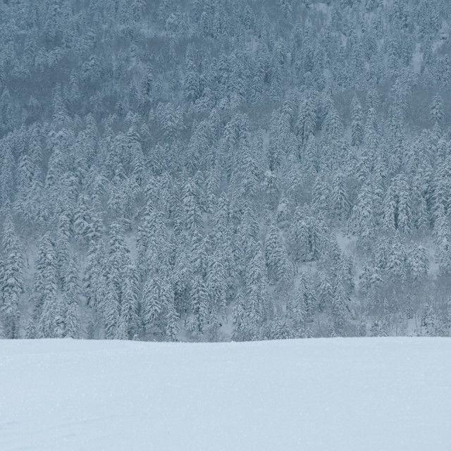 Portada de Sencillo/EP "Winter, Again (다시, 겨울)", de Youngwon