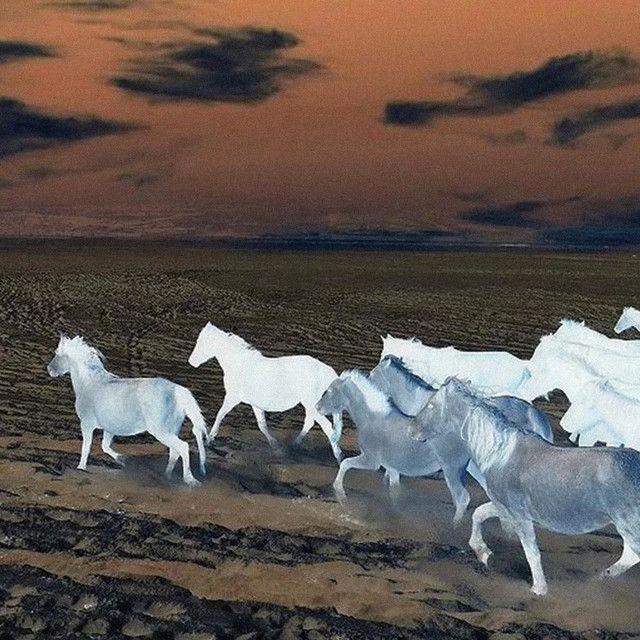 Capa do Single/EP "Freedom", de Jadu Heart