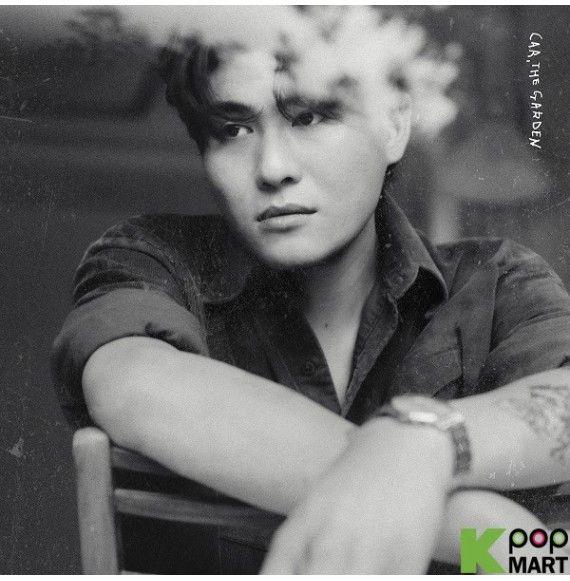 Album cover of "C" by Car, The Garden