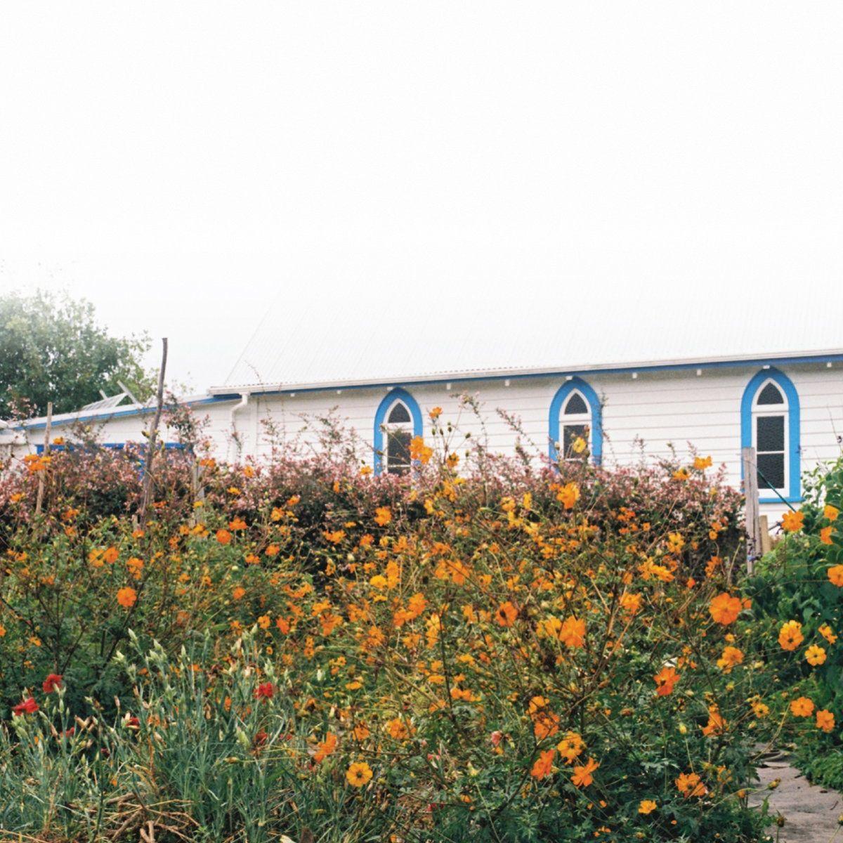 Capa do Álbum "Blue Cheese ", de Kane Strang