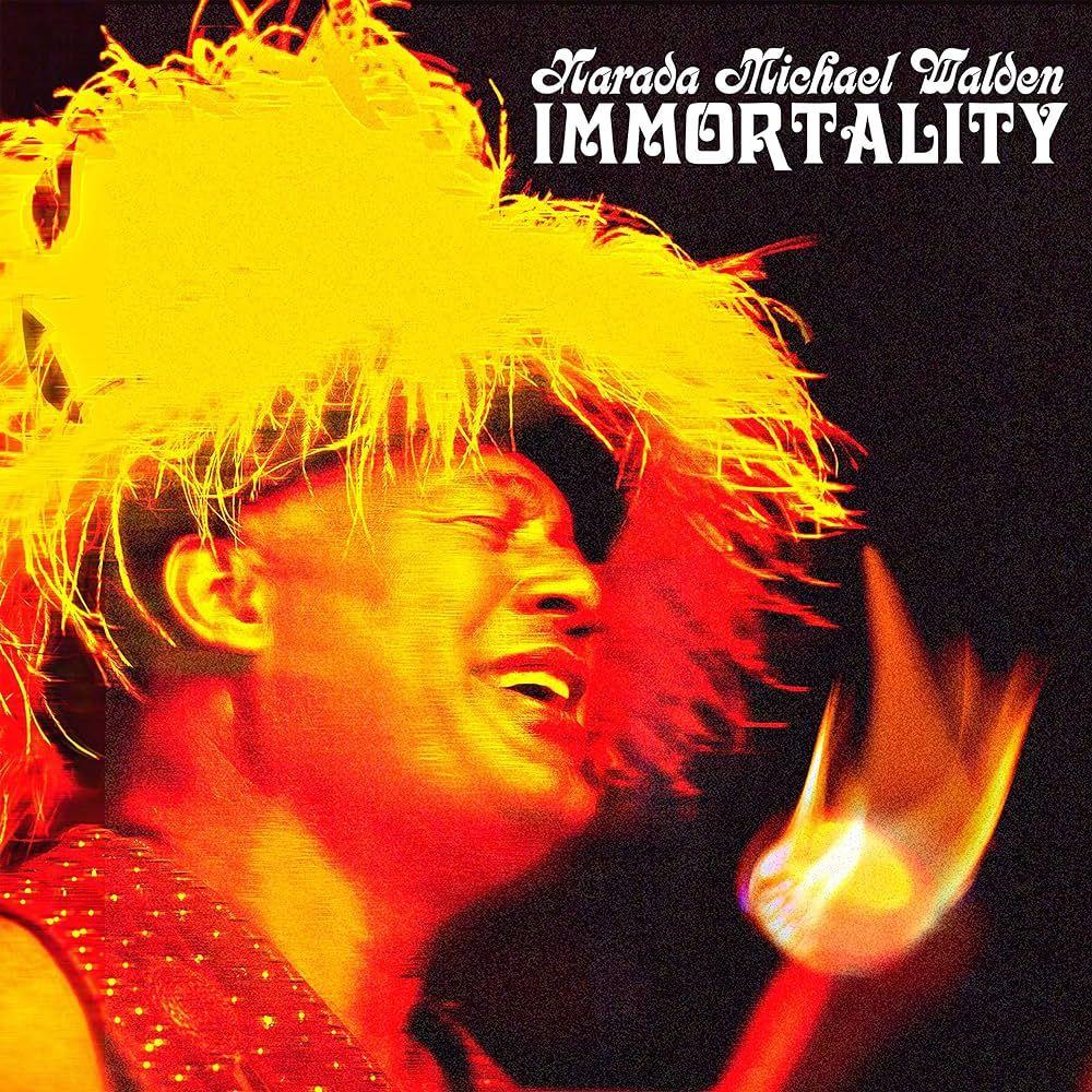 Portada de Álbum "Immortality", de Narada Michael Walden