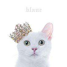 Portada de Álbum "Best Selection (Blanc)", de Aimer