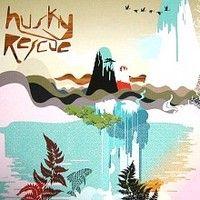 Portada de Álbum "Country Falls", de Husky Rescue