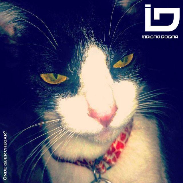 Portada de Álbum "Onde Quer Chegar?", de Indigno Dogma