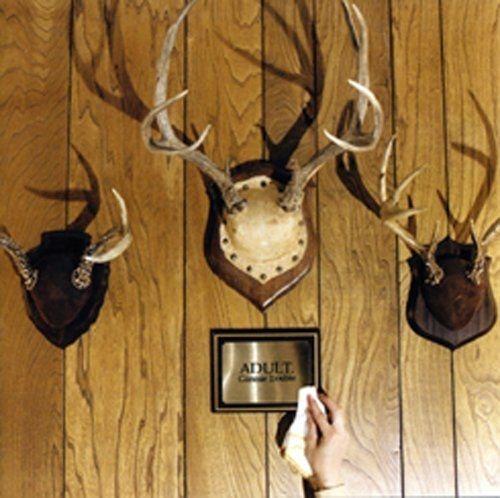 Album cover of "Gimmie Trouble" by Adult.