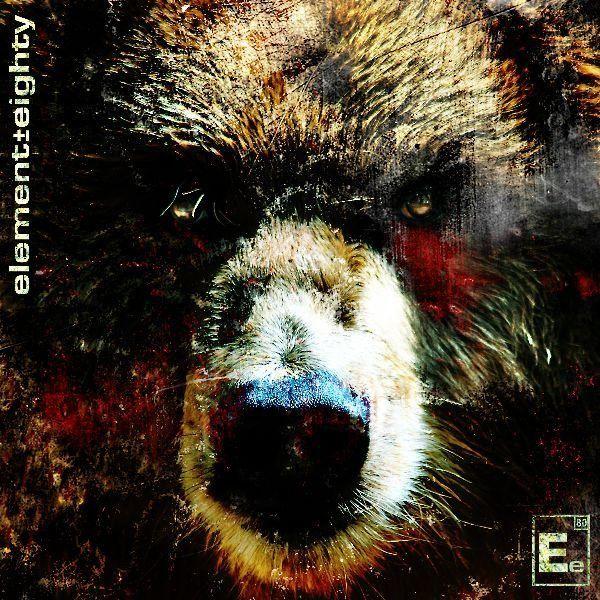 Album cover of "The Bear " by Element Eighty