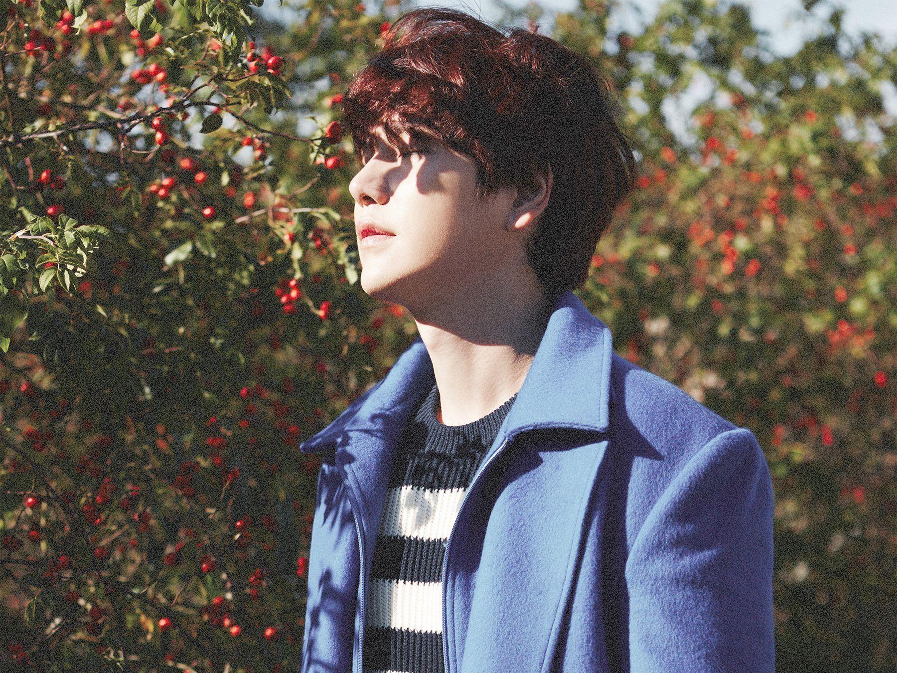Portada de Álbum "Fall, Once Again", de KYUHYUN