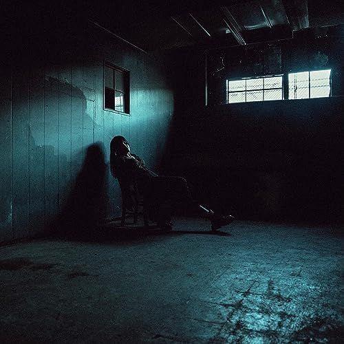 Capa do Single/EP "Fall Into", de Ally Nicholas