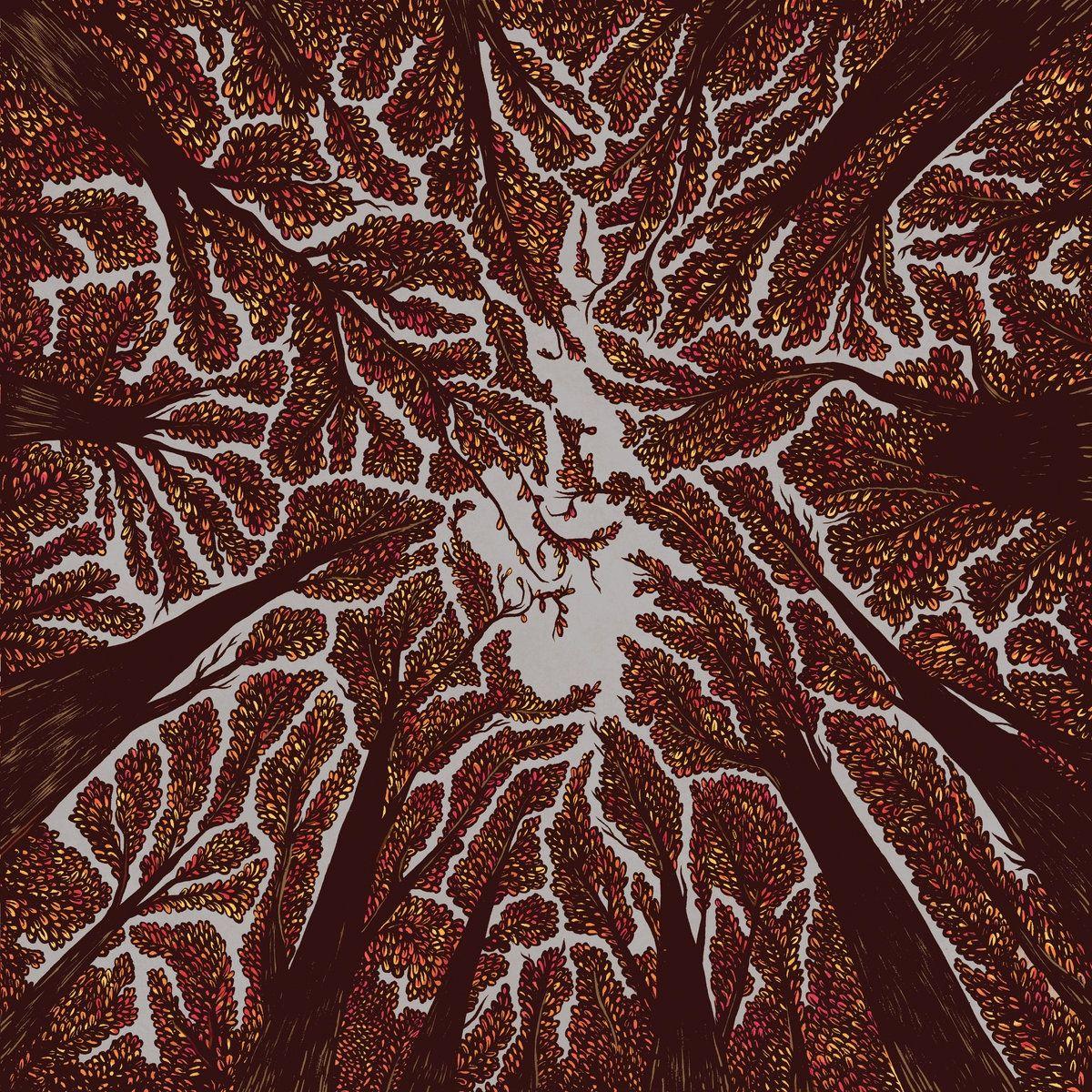 Capa do Álbum "Crown Shyness", de Trash Boat