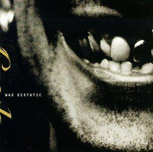 Album cover of "Wax Ecstatic" by Sponge