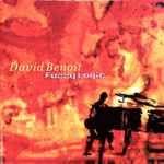 Capa do álbum "Fuzzy Logic", de David Benoit