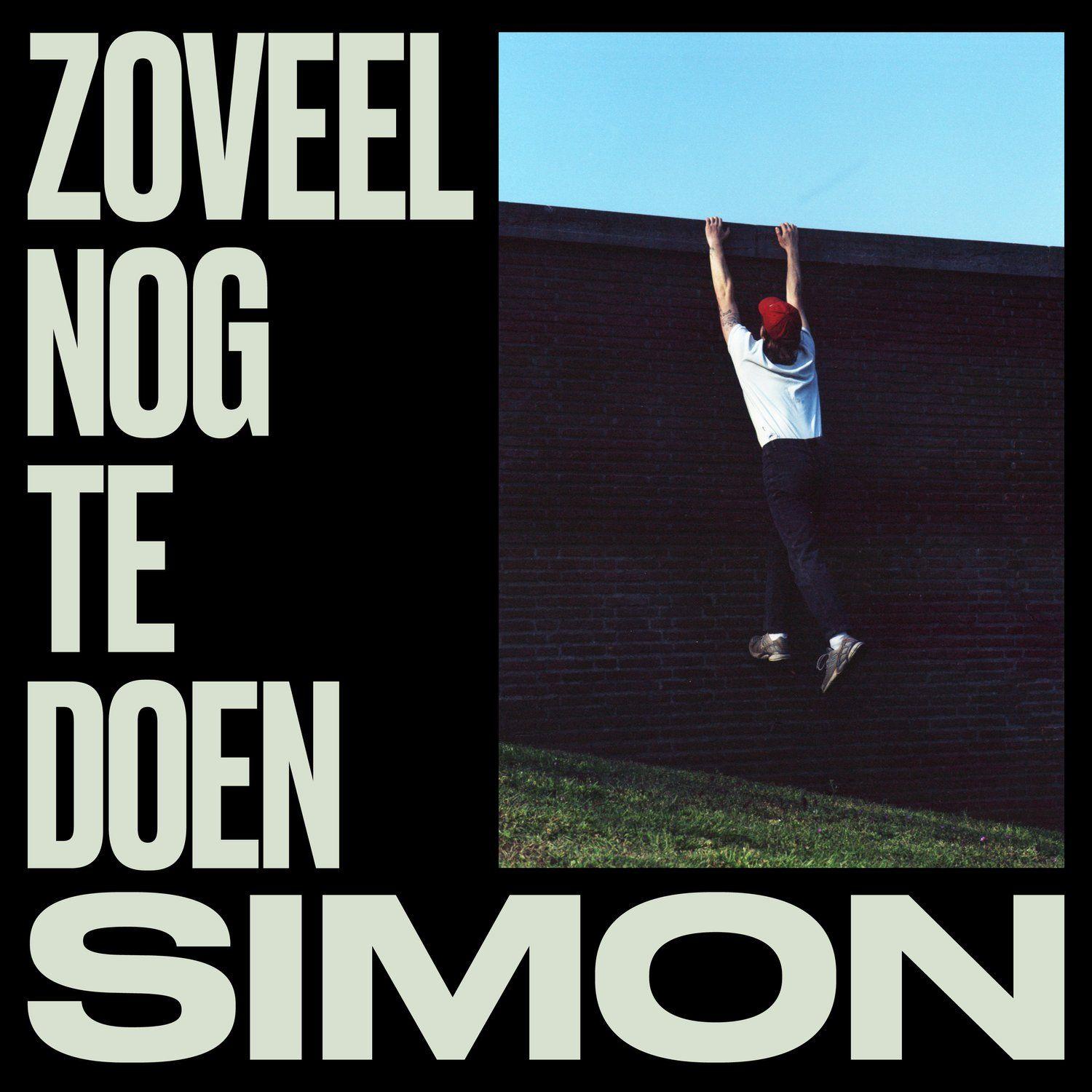 Capa do álbum "Zoveel Nog Te Doen   ", de Paul Simon
