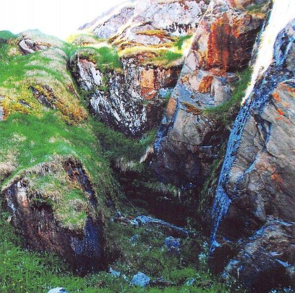 Capa do álbum "The Mountain Step", de Jandek
