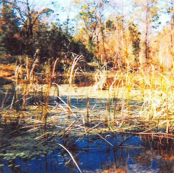 Capa do Álbum "Aarhus Sunday", de Jandek